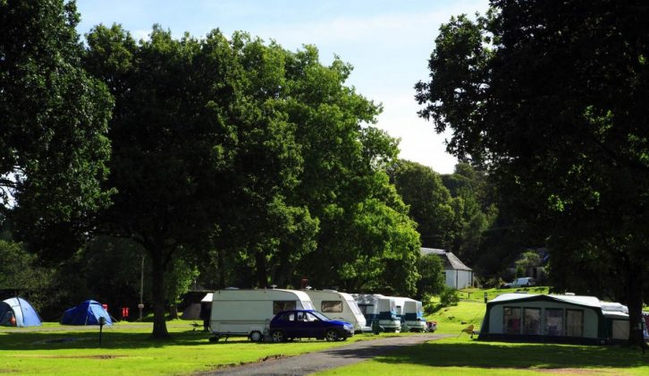 Camping in the Forest 25% off grass pitches for 2013 offer