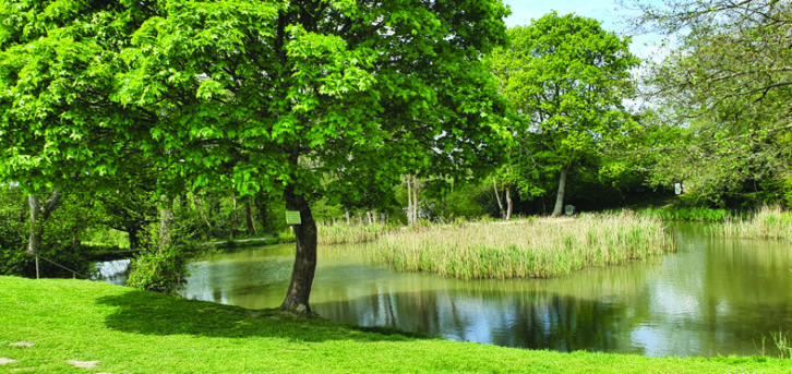 Horam Manor Country Park