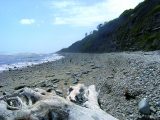 Join the fossil hunters on Monmouth Beach when staying at campsites in Lyme Regis on your caravan holidays in Dorset