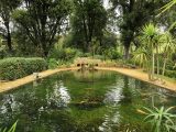 There are lots of things to do in Dorset when on tour and at Abbotsbury, as well as the swannery, there are stunning gardens