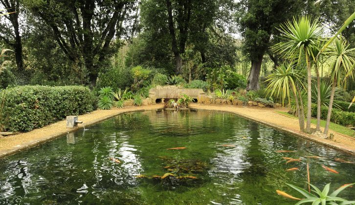 There are lots of things to do in Dorset when on tour and at Abbotsbury, as well as the swannery, there are stunning gardens