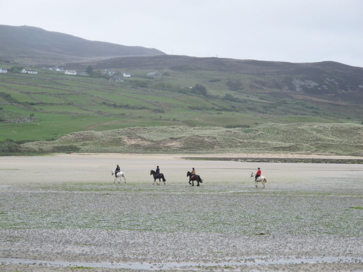 From Dunfanaghy you can go horse riding on a lovely sandy beach during your caravan holidays in Ireland