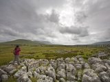 On your caravan holidays in North Yorkshire, visit the striking limestone pavement in Malhamdale, in the Yorkshire Dales National Park