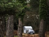 Caravan holidays in the New Forest offer a quiet wilderness to explore, with mighty trees, forest tracks and wide open spaces full of wild ponies and deer