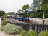 Make sure you visit Exbury Gardens, with its famous rhododendron flowers and take steam train rides during your caravan holidays in the New Forest