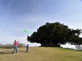 The wide grassy landscape near Bolton's Bench is ideal for flying kites in the New Forest