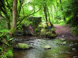 Walk through Britain's largest ancient oak woodland, the beautiful Horner Woods, and you might spot wild deer, Exmoor ponies and foxes – find out more in Practical Caravan's travel guide to Somerset