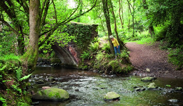 Walk through Britain's largest ancient oak woodland, the beautiful Horner Woods, and you might spot wild deer, Exmoor ponies and foxes – find out more in Practical Caravan's travel guide to Somerset
