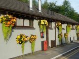 These colourful displays won the wardens of Buxton Caravan Club Site second place in the Sites in Bloom 2014 awards