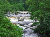 See the Aysgarth Falls when you visit Wensleydale – it's only a short walk from the road and you can pop into the café at the Aysgarth Falls Hotel for tea