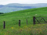 The countryside around Skipton is a walker's paradise and the town itself has a castle and market