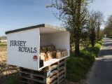 You can buy deliciously fresh Jersey Royal potatoes directly from the farmers in Jersey