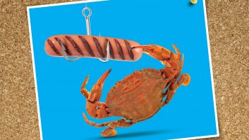 If you're looking for some family fun on this summer's caravan holidays, you could do worse than try crabbing!