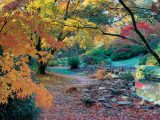 Enjoy the best sites and sights in the south, such as Exbury Gardens in the New Forest