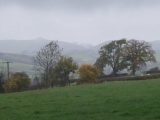 Find out about the walks you can enjoy from your van when pitched at Callow Top with us on The Caravan Channel