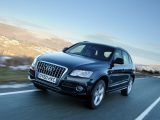 There's not a premium for the diesel model, because most Audi Q5s sold were diesels
