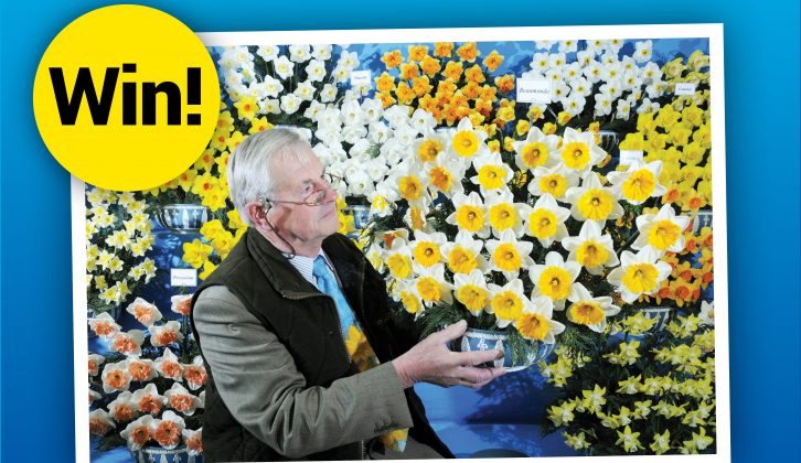 Win Harrogate Flower Show tickets with Practical Caravan