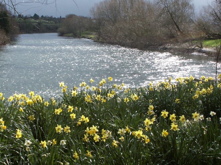 Spring has sprung – enjoy it at its best at The Weir Garden near Hereford