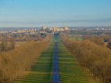 The Long Walk in Windsor Great Park could just be the start as you tour Berkshire this Easter