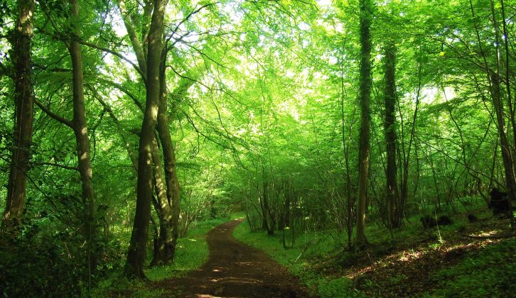 Discover beautiful Brockworth and Buckholt Woods in Gloucestershire on your caravan holidays this Easter