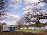 Pitch at The Dower House in Thetford Forest for your East Anglian Easter getaway