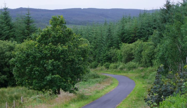 Take the family to visit Northern Ireland and walk Lough Navar Forest Drive this Easter