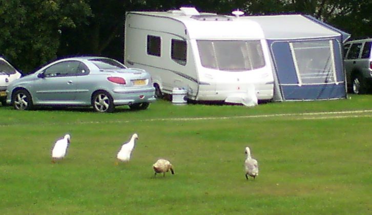 County counsel is our new series highlighting the best each county has to offer caravanners – this month: Sussex