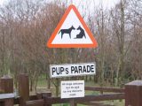Dogs are welcome at Bath Chew Valley Caravan Park, where there's a dedicated dog walking area, should the surrounding countryside not suffice