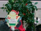 Have fun decorating your caravan – but don't overload your hook-up!