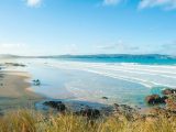 Make the most of the coast – try surfing! We find out how to add an adrenaline rush to your caravan holidays