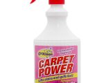 Here's our group test winner! Read on to see why we rated OzKleen's Carpet Power