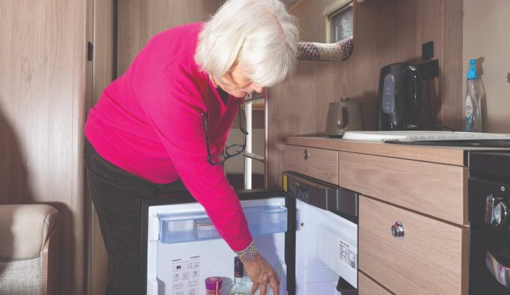 The fridge is not the largest, so meals might require careful planning