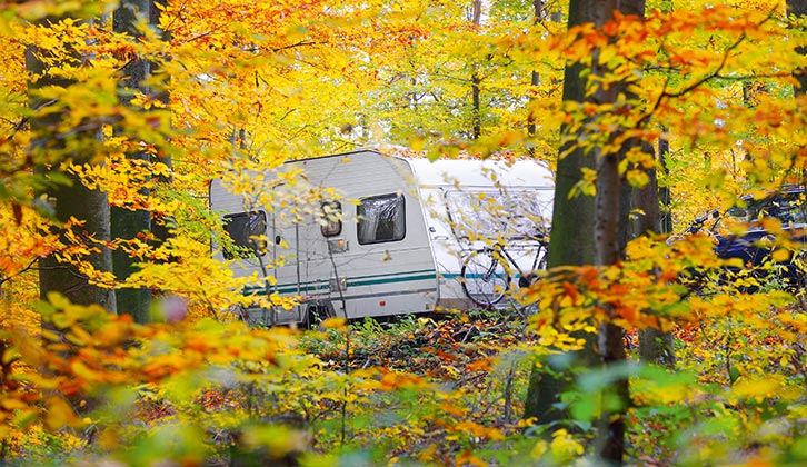 Caravan in an autumnal setting