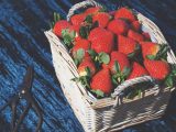 Pick your own fruit right alongside the charming five-van CS at Spencers Farm Shop in Essex
