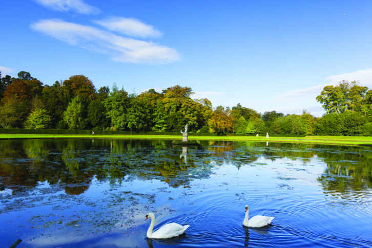 View of the autumnal park at Fountains Abbey and Studley Royal Water Garden, North Yorkshire