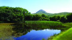 The Emerald Isle truly lives up to its name in Connemara