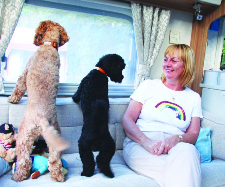 Dogs are ideal companions, particularly for solo caravanners