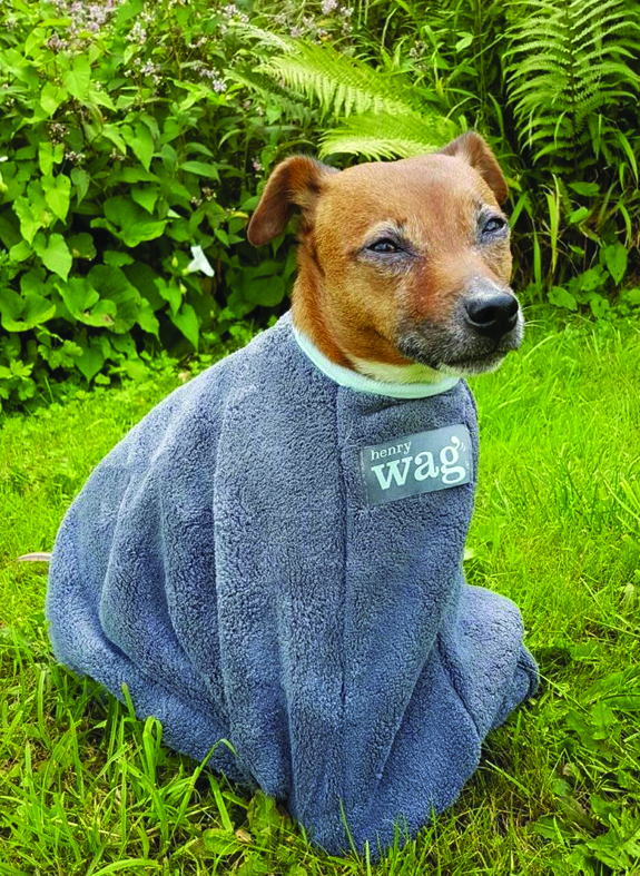 A smart drying bag can make light work of tidying your dog after a long walk