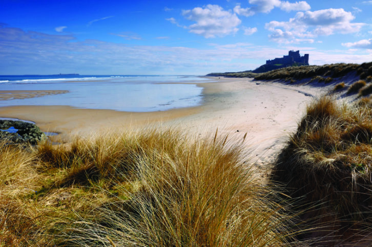 Northumberland beaches