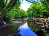 The trail down to Hackfall Gorge is quite steep , but you can picnic by the River Ure