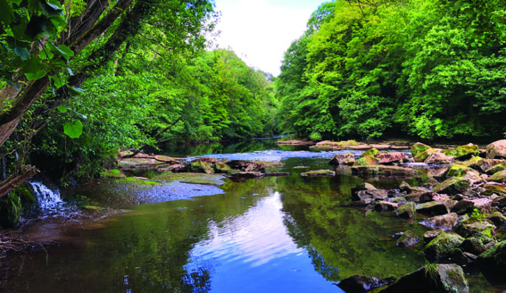 The trail down to Hackfall Gorge is quite steep , but you can picnic by the River Ure