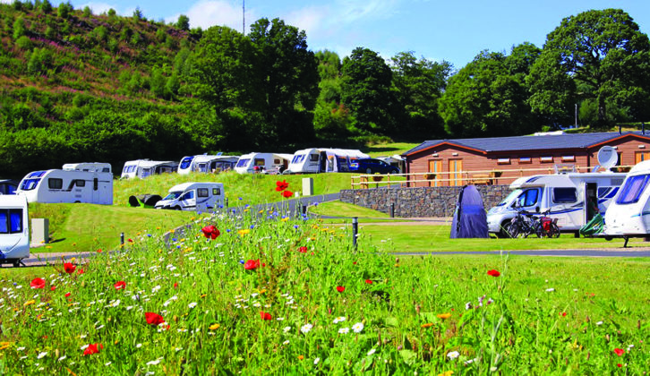 Red Kite Touring Park