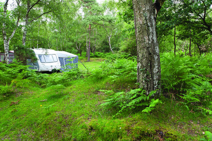 Matley Wood Campsite