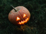 A pumpkin on grass