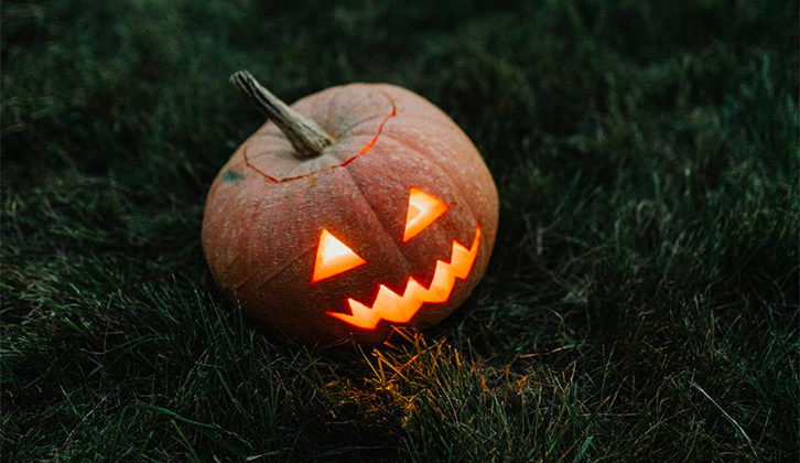 A pumpkin on grass