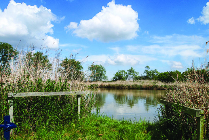 Reedham Ferry & The Archers Touring Park