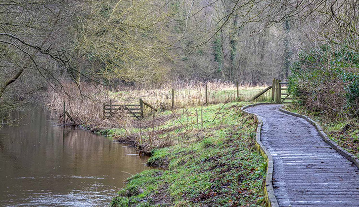 The River Derwent running alongside the trail at Forge Valley