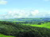 Staveley is surrounded by gorgeous countryside