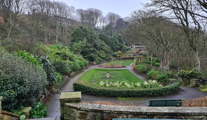 Greenery at South Cliff Gardens