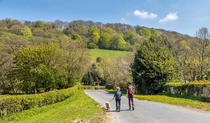 A couple walking a dog with green countryside ahead